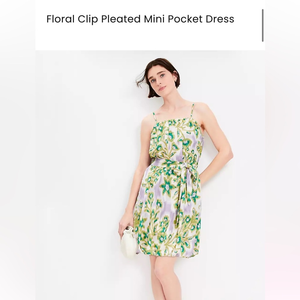 LOFT Floral Clip Pleated Mini Dress in Green and Cream